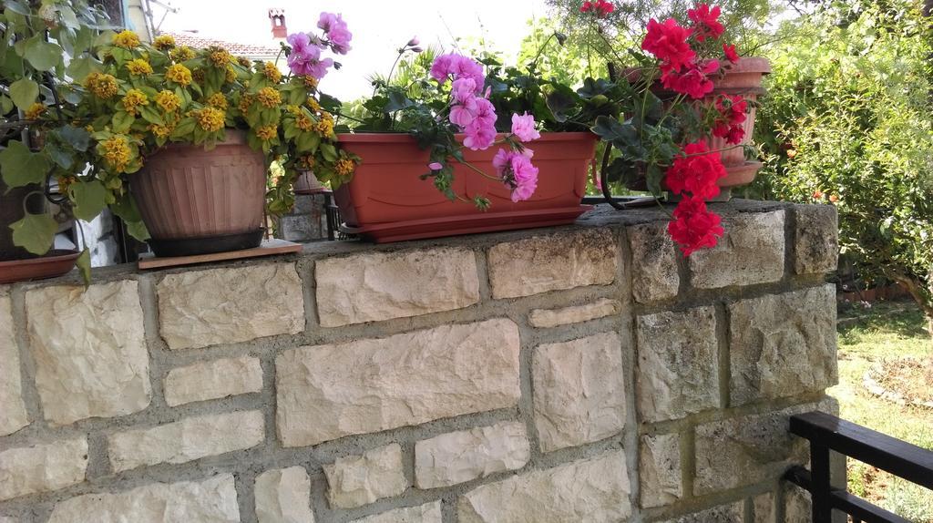 Apartments Ana Rovinj Extérieur photo